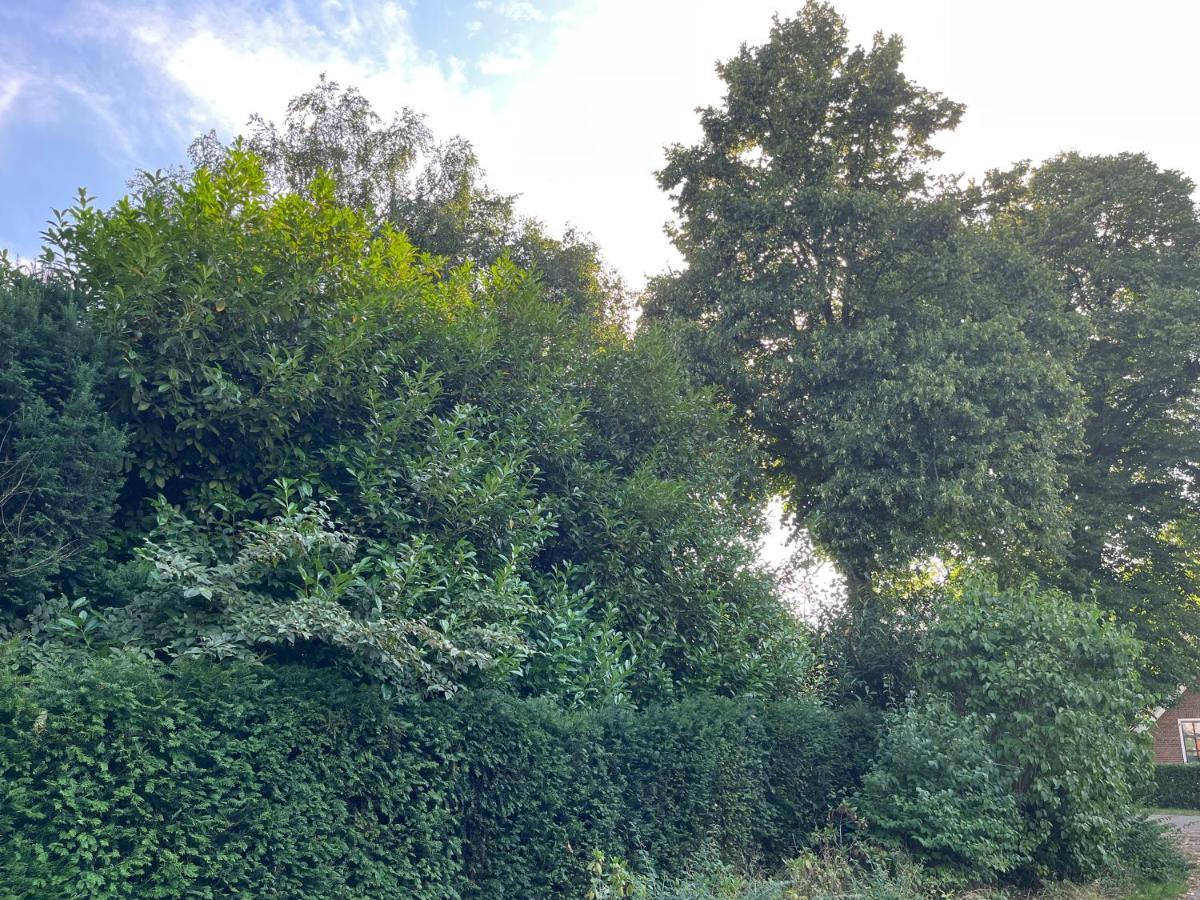 Zwols Groen Zwolle  Zewnętrze zdjęcie